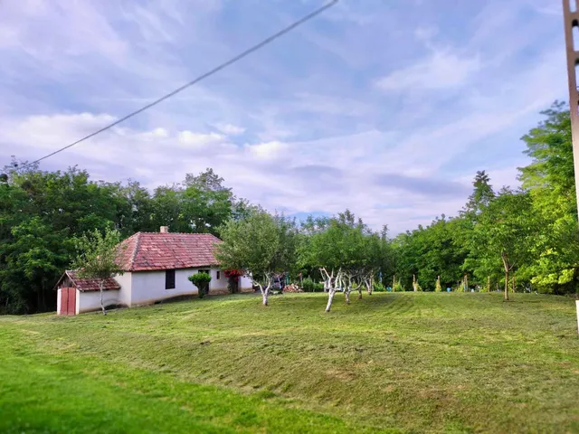 Eladó mezőgazdasági ingatlan Kehidakustány 5264 nm