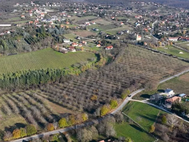 Eladó mezőgazdasági ingatlan Cserszegtomaj 71349 nm