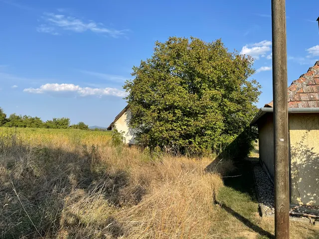 Eladó mezőgazdasági ingatlan Zalaszentlászló 5834 nm