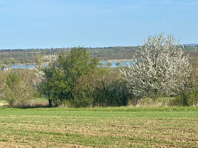 Eladó mezőgazdasági ingatlan Alsópáhok 7000 nm