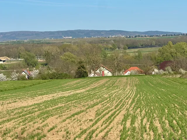 Eladó mezőgazdasági ingatlan Alsópáhok 7000 nm