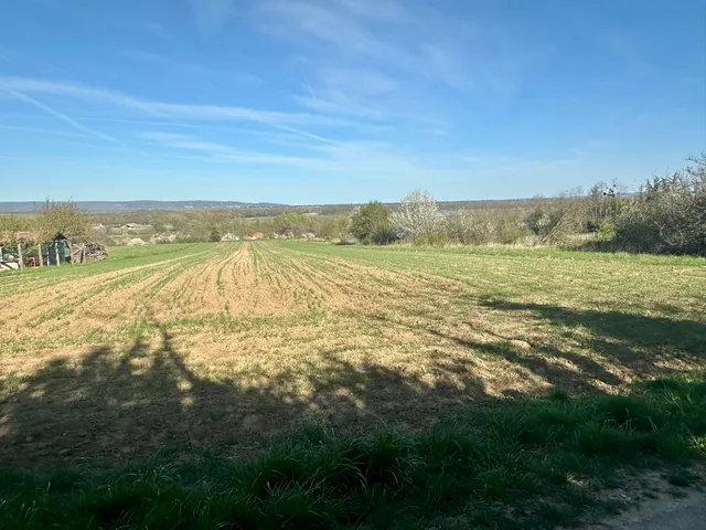 Eladó mezőgazdasági ingatlan Alsópáhok 7000 nm