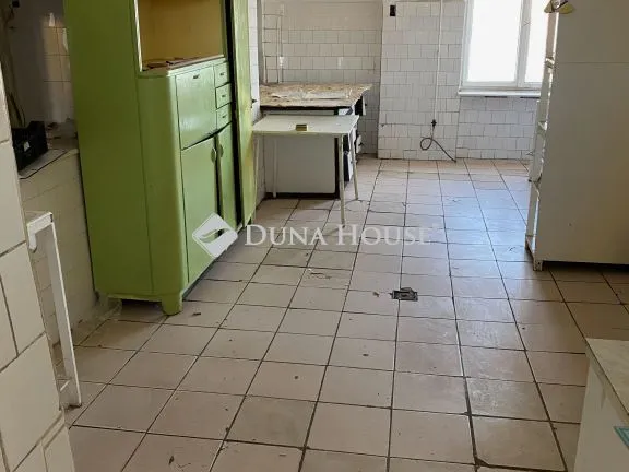 Eladó kereskedelmi és ipari ingatlan Tiszaderzs, Fő út 210 nm