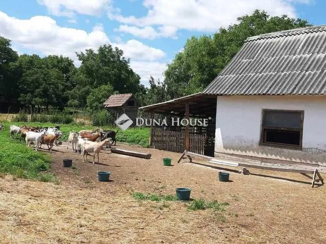 Eladó ház Ököritófülpös, Ady Endre köz 60 nm
