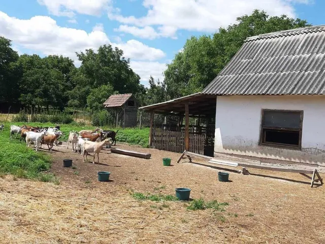 Eladó ház Ököritófülpös, Ady Endre köz 60 nm