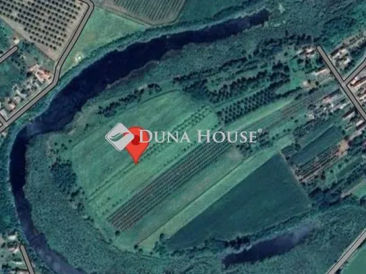 Eladó mezőgazdasági ingatlan Ököritófülpös 18139 nm