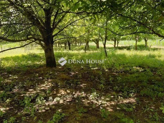 Eladó telek Ököritófülpös 7367 nm