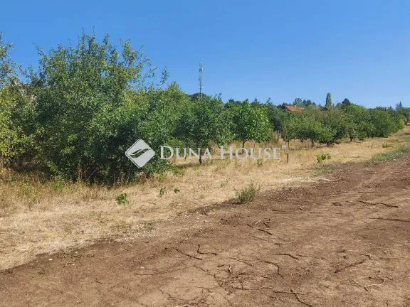 Eladó telek Páty 5573 nm