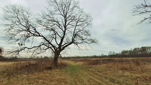 Eladó telek Nagykorpád 70552 nm