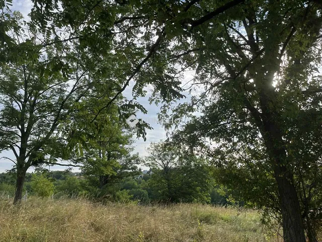 Eladó telek Igal 939 nm