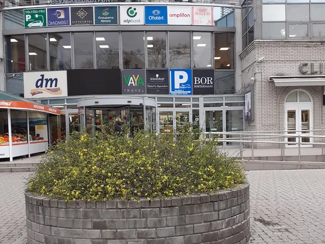 Kiadó kereskedelmi és ipari ingatlan Budapest II. kerület, Pasarét, Pázsit utca 16 nm