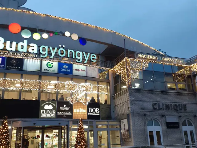 Kiadó kereskedelmi és ipari ingatlan Budapest II. kerület, Pasarét, Pázsit u. 16 nm