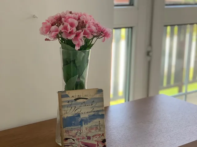 Kiadó ház Solymár 300 nm