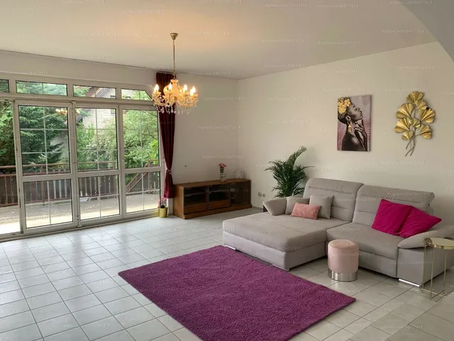 Kiadó ház Solymár, Rózsika 300 nm