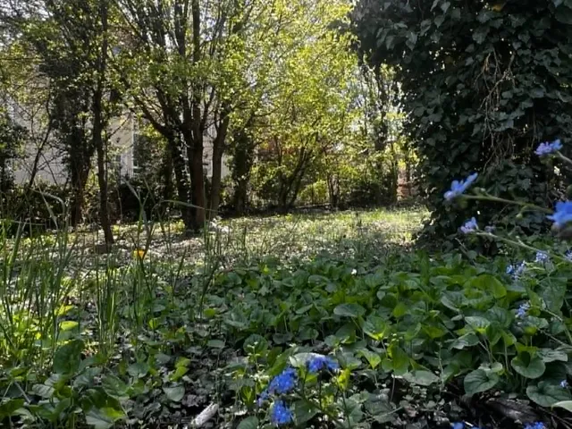 Eladó telek Budapest II. kerület, Széphalom, Tárkony u. 1299 nm