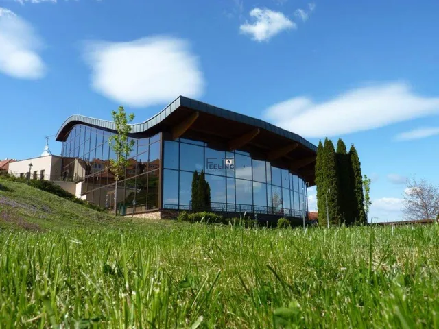 Eladó kereskedelmi és ipari ingatlan Dunaszentmiklós 4050 nm