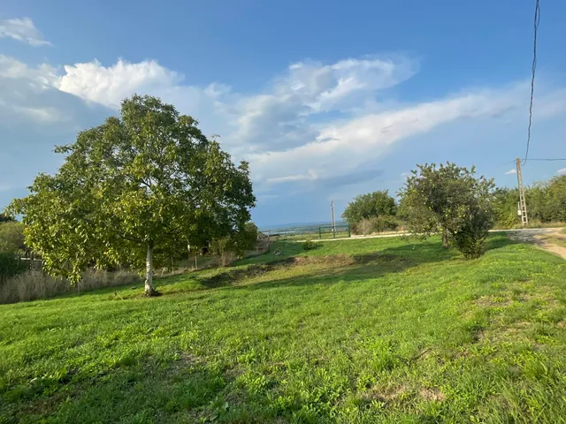 Eladó mezőgazdasági ingatlan Tata 1949 nm