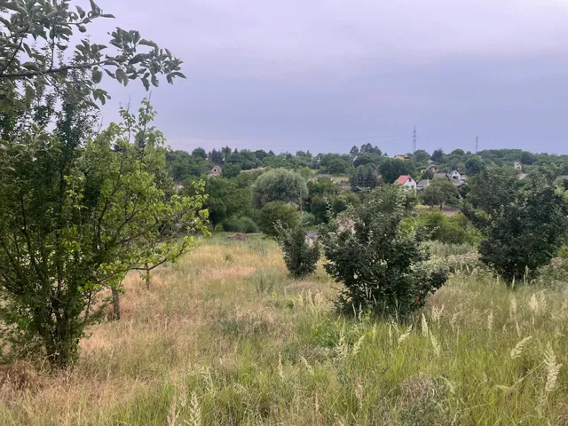 Eladó mezőgazdasági ingatlan Szomód