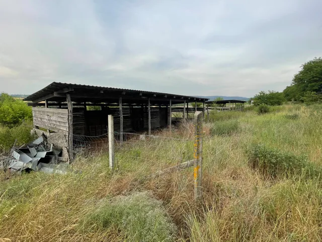 Eladó mezőgazdasági ingatlan Szomód