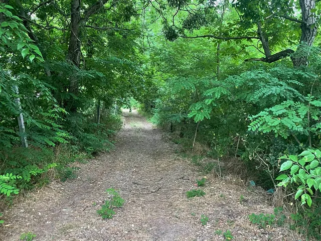 Eladó mezőgazdasági ingatlan Szomód