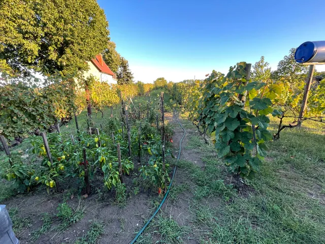 Eladó mezőgazdasági ingatlan Komárom