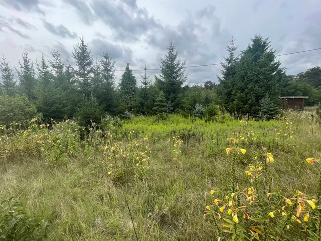 Eladó mezőgazdasági ingatlan Szomód 16019 nm