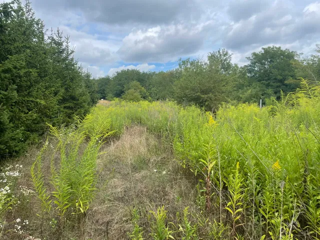Eladó mezőgazdasági ingatlan Szomód 16019 nm
