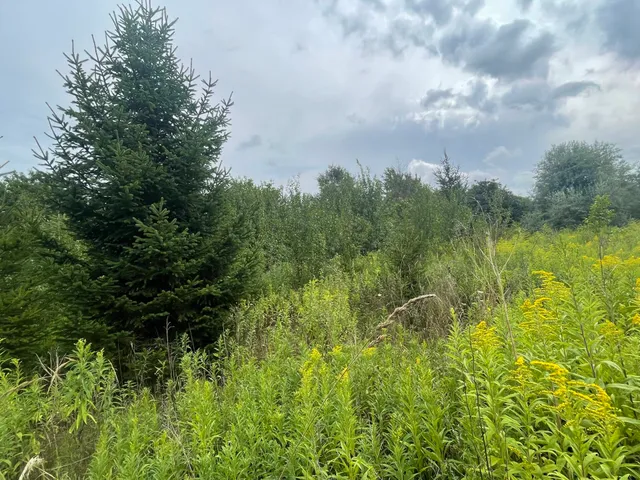 Eladó mezőgazdasági ingatlan Szomód 16019 nm