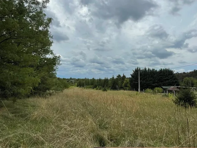 Eladó mezőgazdasági ingatlan Szomód 16019 nm