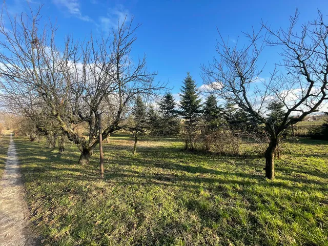 Eladó mezőgazdasági ingatlan Tatabánya 3591 nm