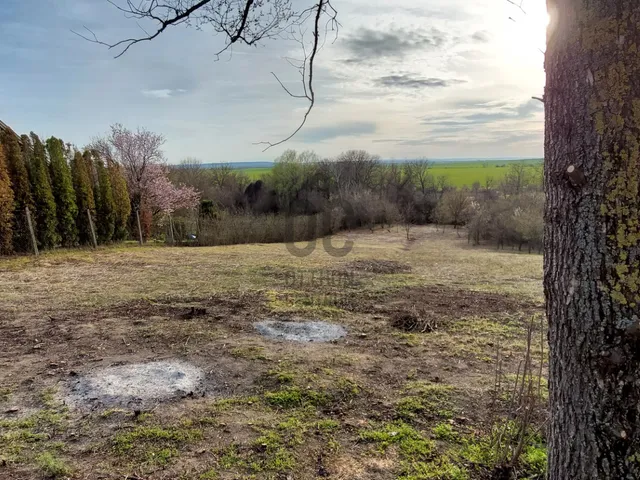 Eladó telek Balatonszabadi, Szilfa utca 3198 nm