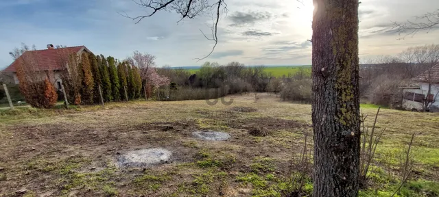 Eladó telek Balatonszabadi, Szilfa utca 3198 nm