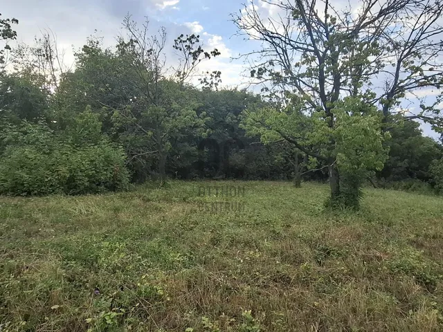 Eladó telek Balatonkenese, Búsuló Juhász utca 981 nm