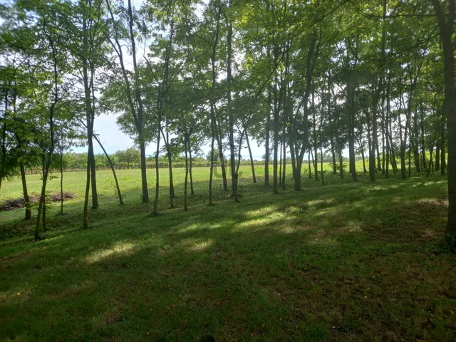 Eladó telek Balatonkenese 15380 nm
