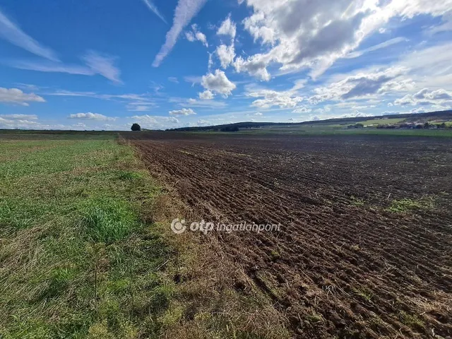 Eladó mezőgazdasági ingatlan Nemesvámos 2000 nm