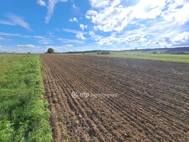 Eladó mezőgazdasági ingatlan Nemesvámos 2000 nm