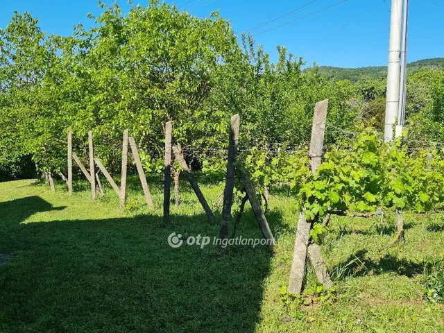 Eladó telek Ábrahámhegy 625 nm