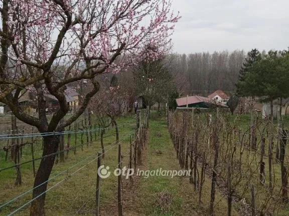 Eladó telek Románd 1119 nm