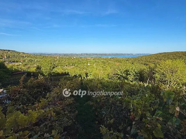 Eladó telek Szentkirályszabadja 4309 nm