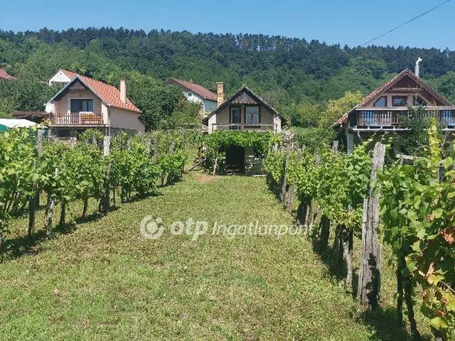 Eladó mezőgazdasági ingatlan Magyarpolány 50 nm