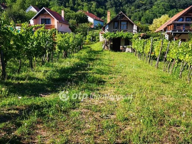 Eladó mezőgazdasági ingatlan Magyarpolány 50 nm