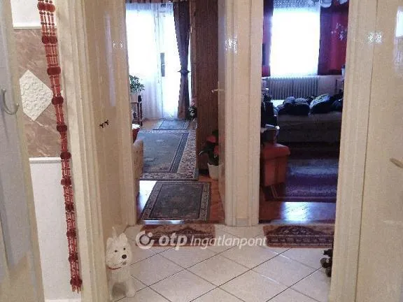 Eladó lakás Ajka 53 nm