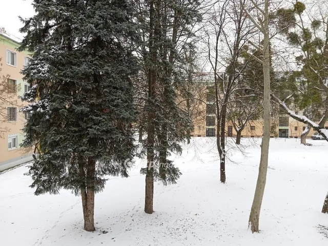 Eladó lakás Ajka 53 nm