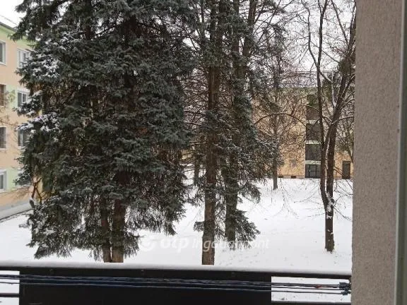 Eladó lakás Ajka 53 nm