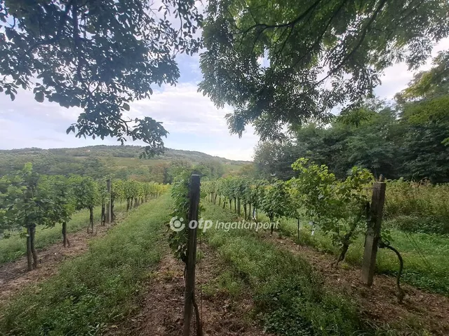 Eladó telek Káptalantóti 6590 nm