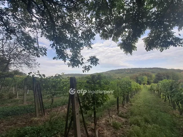 Eladó telek Káptalantóti 6590 nm