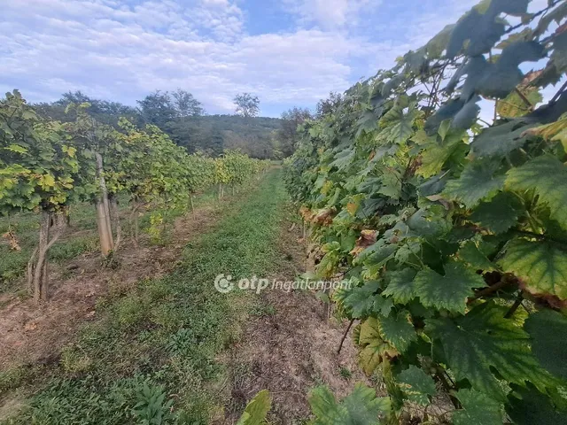 Eladó telek Káptalantóti 6590 nm