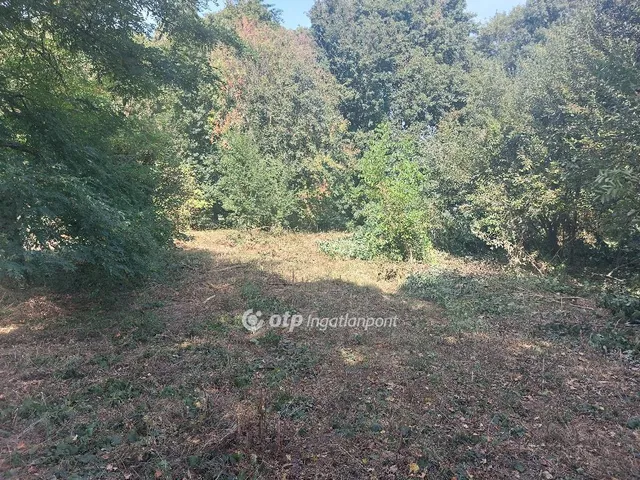 Eladó telek Lókút 2727 nm
