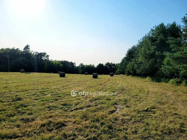 Eladó telek Szalafő 8215 nm