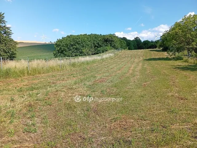 Eladó telek Csetény 3896 nm